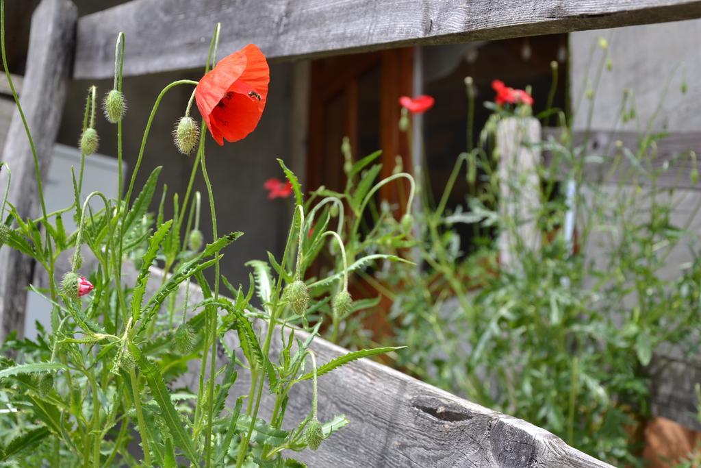 Holiday Farmhouse Skvor Robidisce Luaran gambar